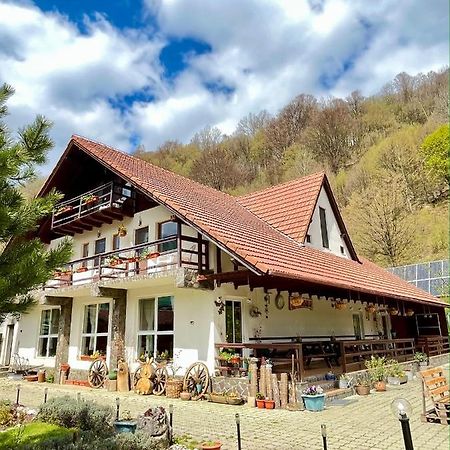 Pensiunea Piatra-Craiului Zărneşti Kültér fotó