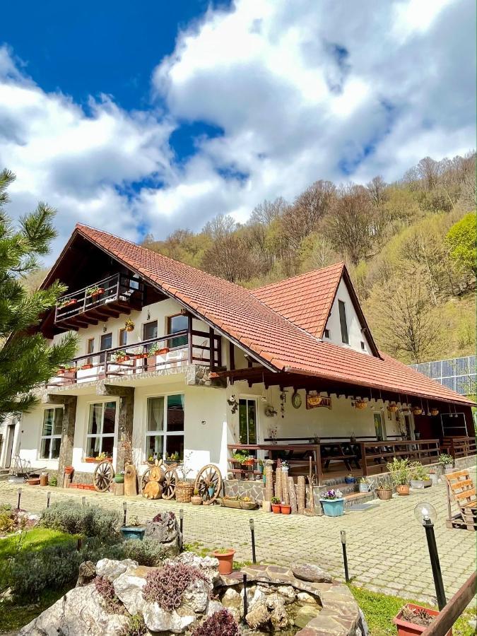 Pensiunea Piatra-Craiului Zărneşti Kültér fotó